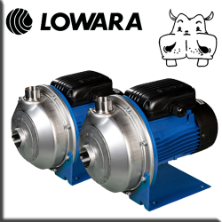 Lowara - Elettropompe inox CIEM-CIE