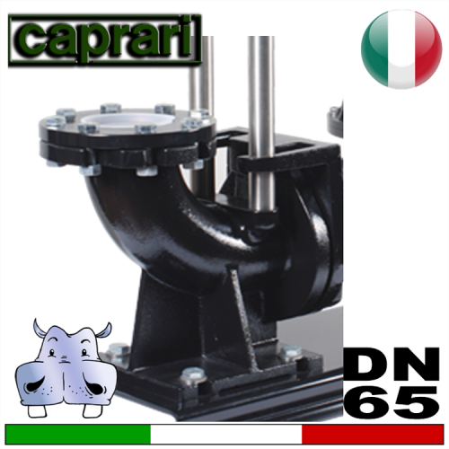 Accoppiamento rapido Caprari per elettropompe DN65
