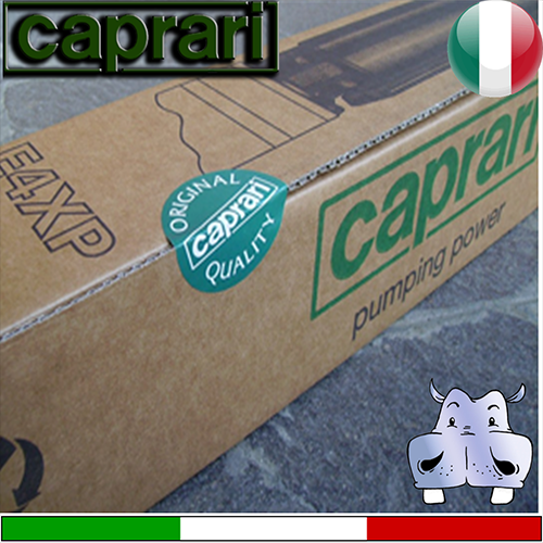 Caprari - Elettropompa sommersa completa E4XP35+MC....M-T 3