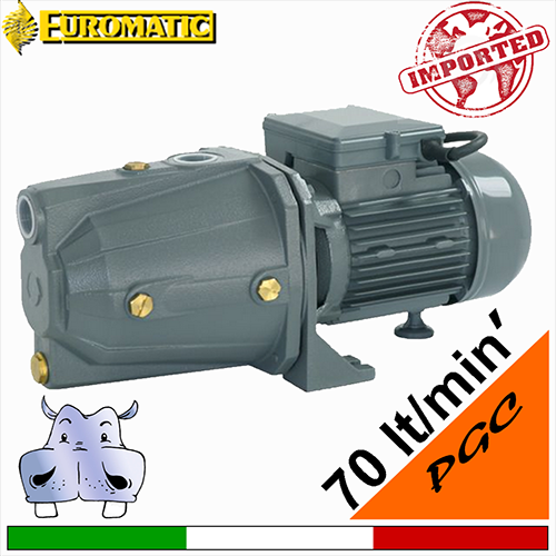 Elettropompa autoadescante jet Euromatic PGC1100