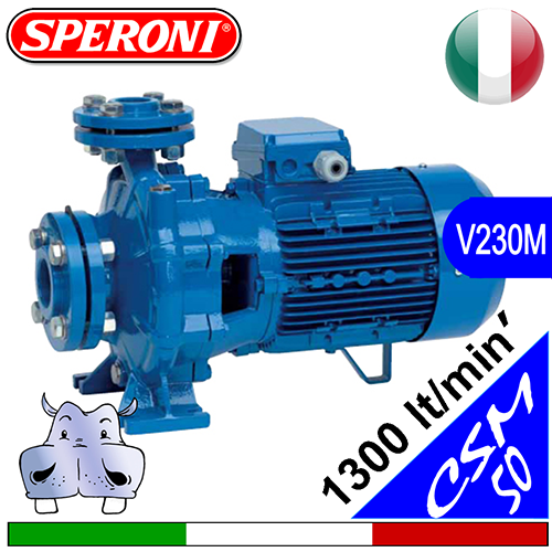 Speroni Elettropompa Normalizzata in Ghisa CSM 50