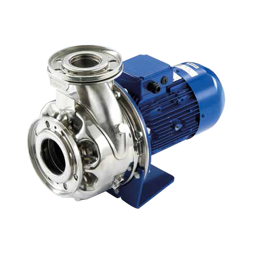 Lowara Elettropompa normalizzata inox ESHE 80 (idraulica in acciaio inox AISI316) 2