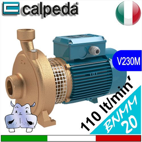Elettropompe Monogirante in bronzo Calpeda BNMM20 160BE BNMM20 160AA  Alimentazione elettrica monofase 230Vac