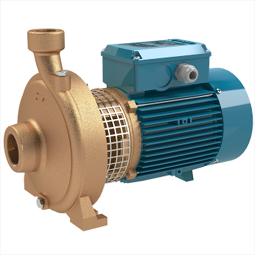Elettropompe Monogirante in bronzo Calpeda BNMM20 160BE BNMM20 160AA  Alimentazione elettrica monofase 230Vac 2