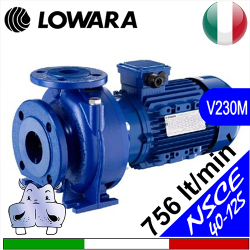 Lowara Elettropompa normalizzata in ghisa NSCE 40-125 Monofase