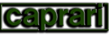 vendita ed assistenza per elettropompe pompe sommerse E4XP+MC4 Caprari a prezzi migliori di ottima qualitÃ  per casa per agricoltura ed industriadesert e4xpd15 20 30 35 40 50 60