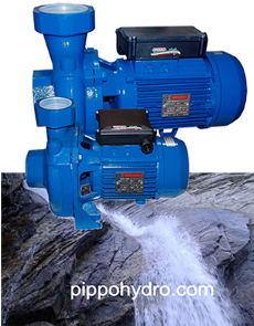 Speroni elettropompe pompeirrigazione alta portata high flow water irrigation pumps autoadescante CAM75 monoblocco per irrigazione a scorrimento nel terreno per acque sporche